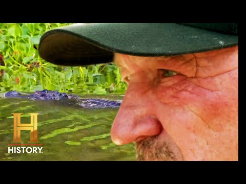 Swamp People: Hunters Battle Nature