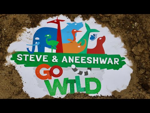 Steve and Aneeshwar Go Wild || Aneeshwar first ever TV series || Aneeshwar Kunchala