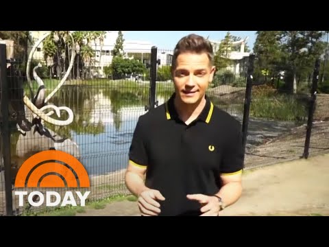 TODAY Takes A Tour Of Iconic Movie Locations In Los Angeles | TODAY