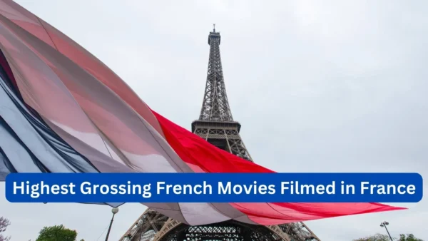 Highest Grossing French Movies Filmed in France