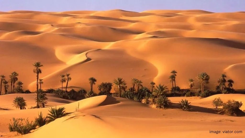 6 Underground Filming Locations, Liwa Desert, UAE