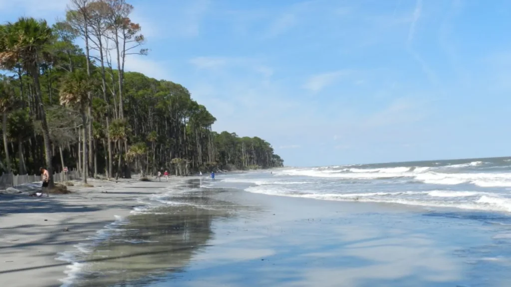 Forest Gump Filming Locations, Hunting Island State Park, South Carolina