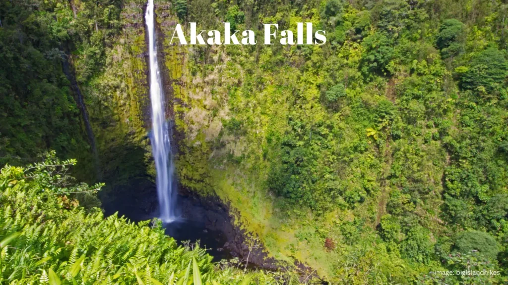 Jumanji: The Next Level Filming Locations, Akaka Falls
