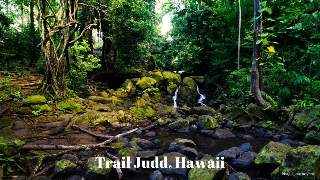Jumanji: The Next Level Filming Locations, Trail Judd, Hawaii