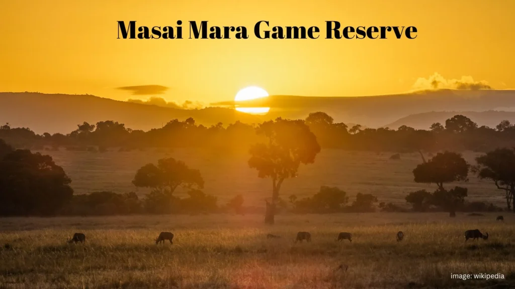 The Lion King Filming Locations, Masai Mara Game Reserve