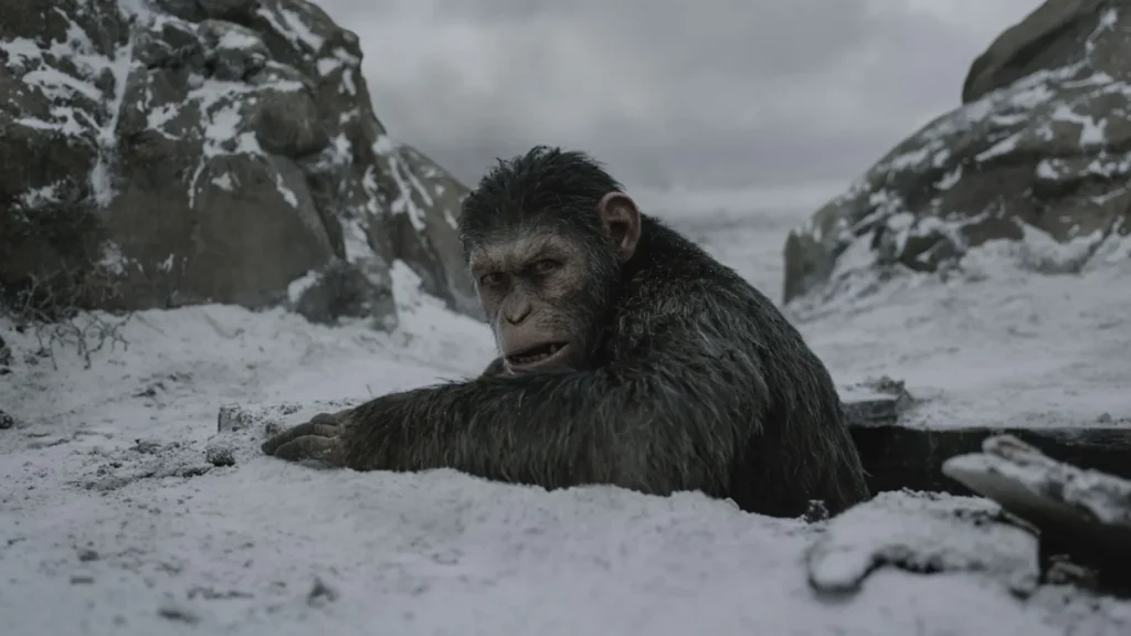“Kingdom Of The Planet Of The Apes” Filming is Finally Wraps (Image credit: The week)