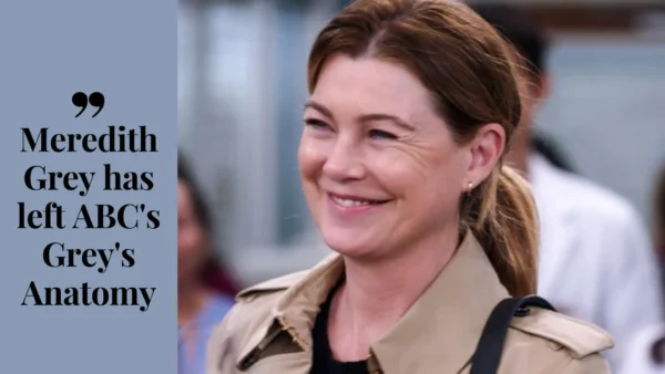 Meredith Grey has left ABC's Grey's Anatomy (Image credit: ew)