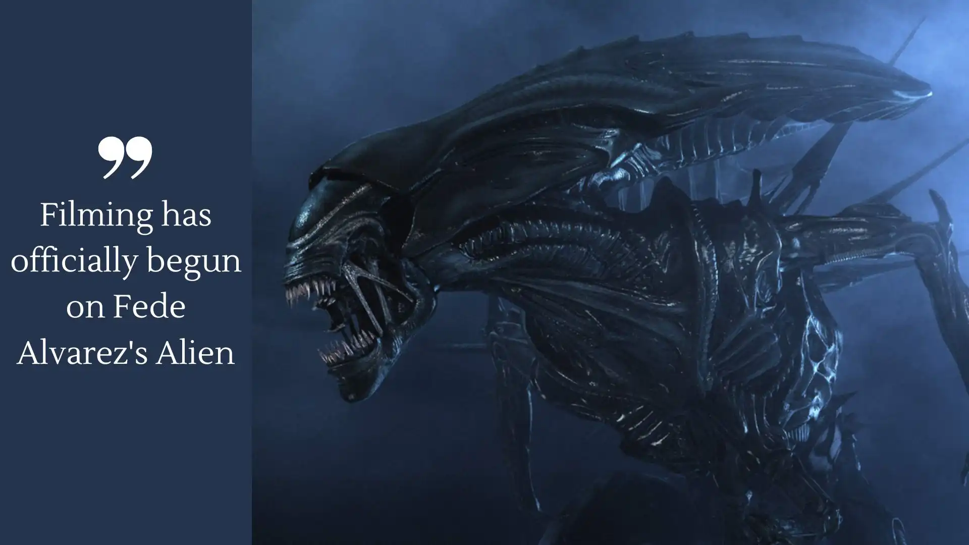 Filming has officially begun on Fede Alvarez's Alien (Image credit: circleofcinema)