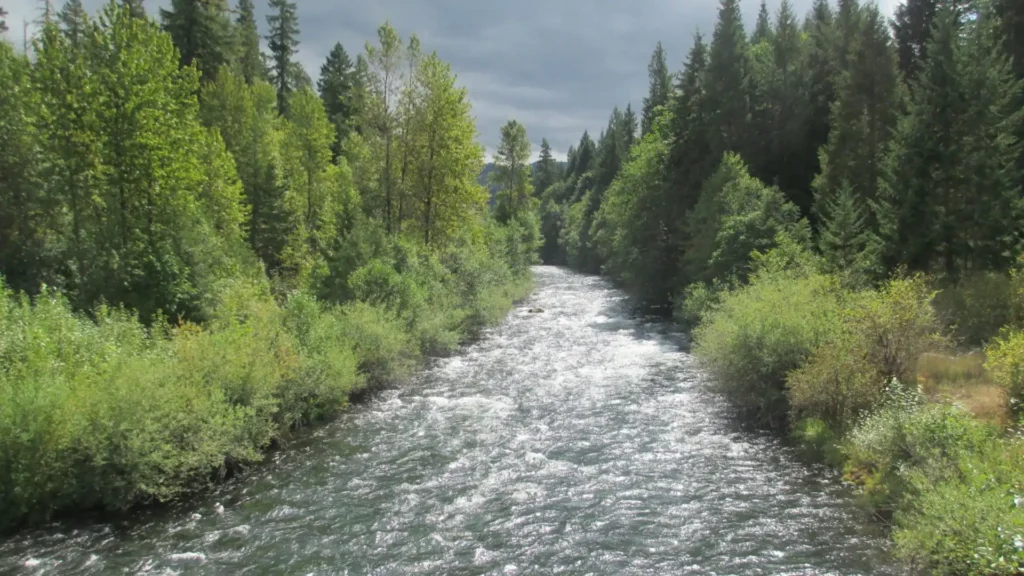 Seraphim Falls Filming Locations, McKenzie River, Oregon (Image credit: wiki)