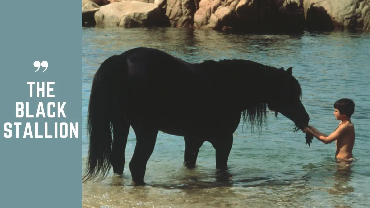 The Black Stallion Filming Locations (Image credit: IMDb)