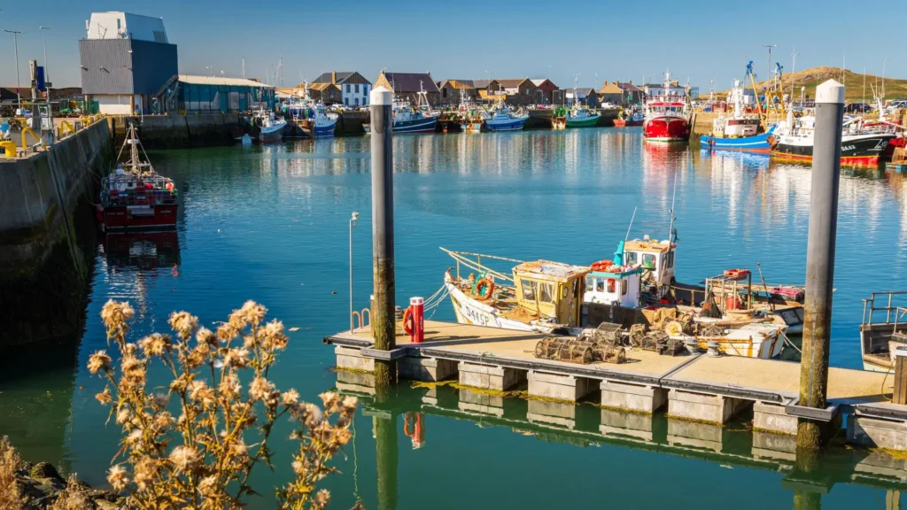 Bad Sisters Filming Locations, Howth, Dublin, Ireland (image credit_ expedia)