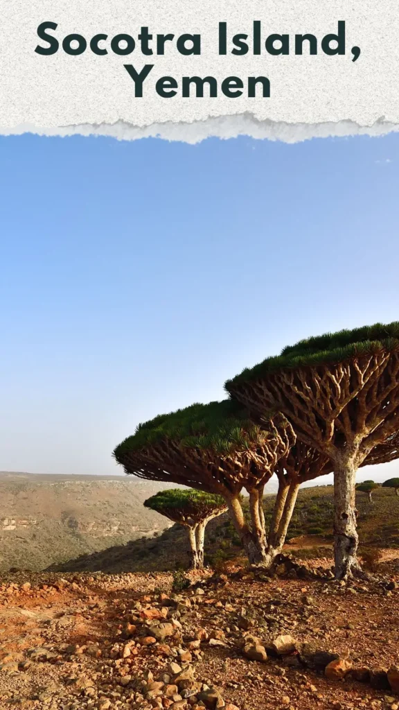 9 Unbelievable Earthly Wonders_ You Won’t Believe Actually Exist, Socotra Island, Yemen