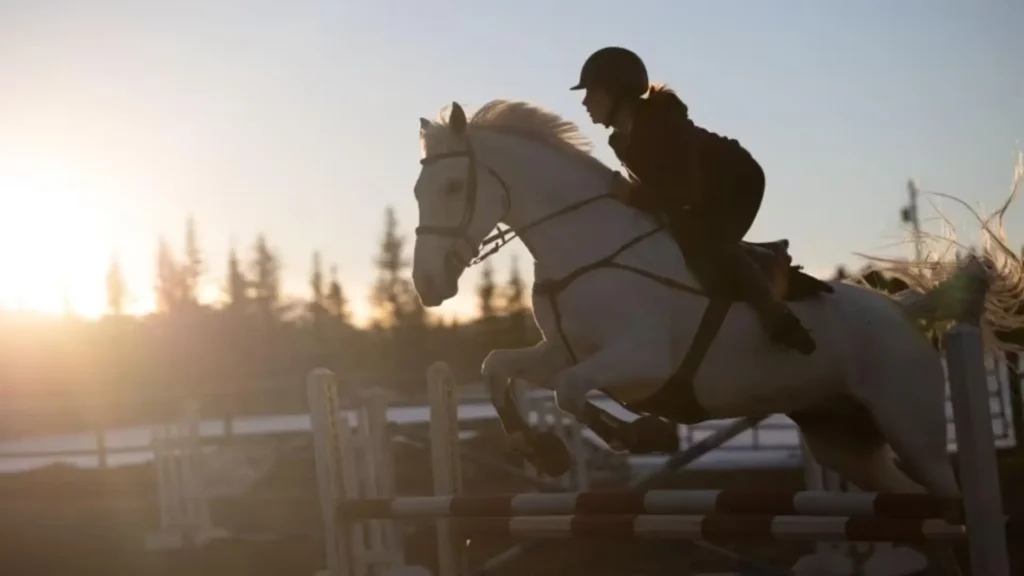 Is Heartland still filming: A Sneak Peek into the Filming Progress