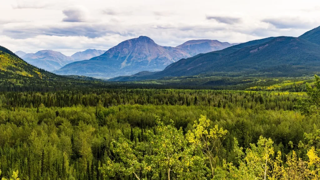 Roadhouse Romance Filming Locations, British Columbia, Canada