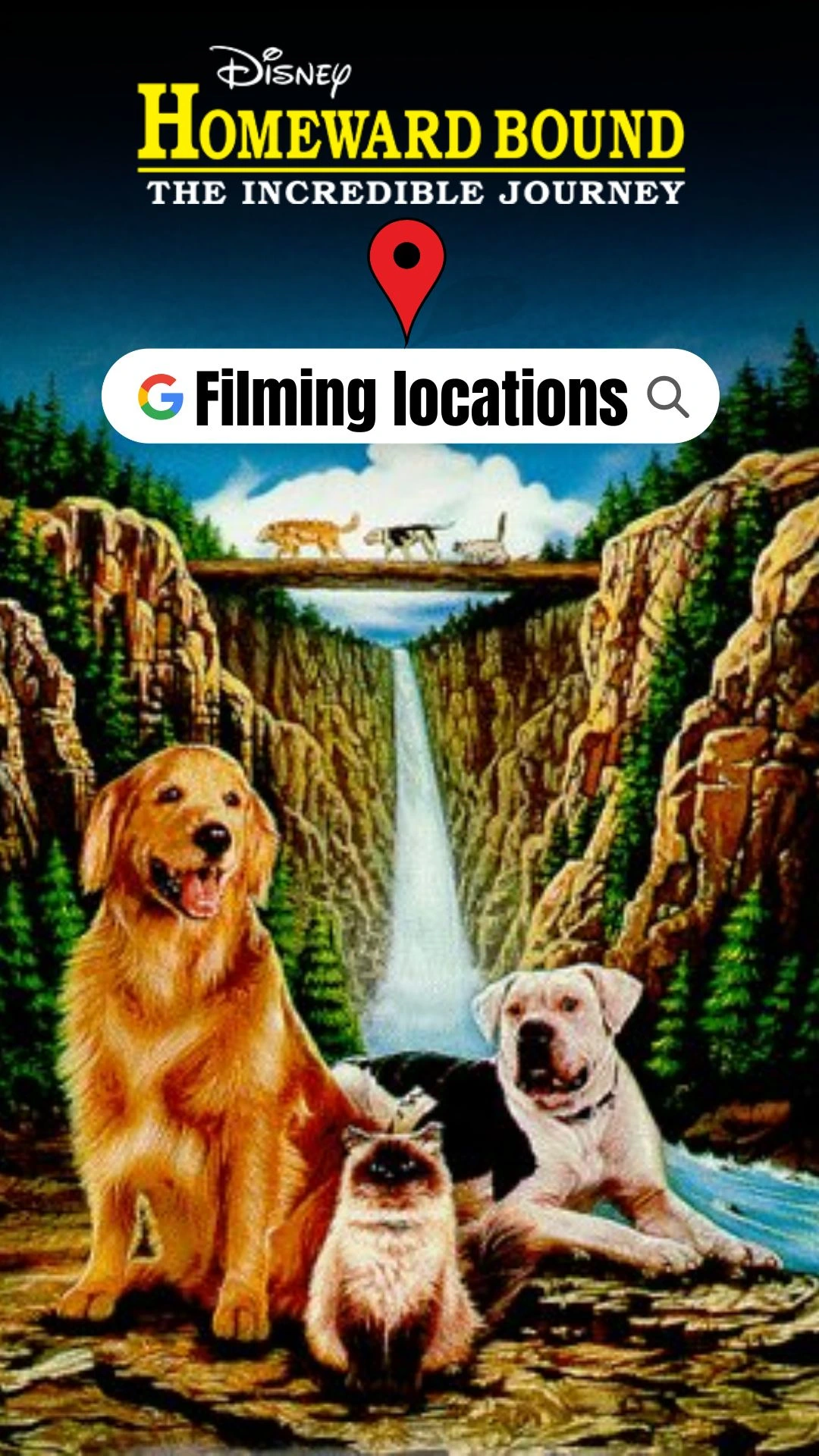 Homeward Bound filming locations (1993)