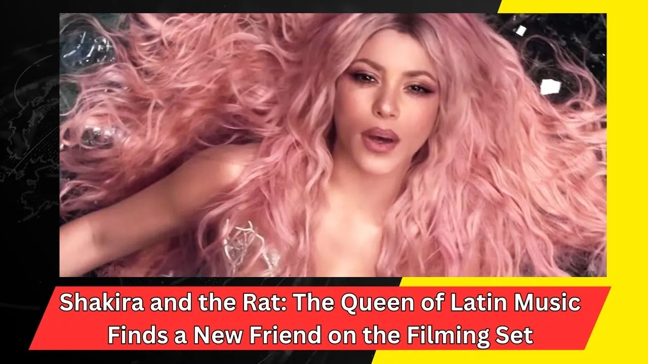 Shakira and the Rat: The Queen of Latin Music Finds a New Friend on the Filming Set