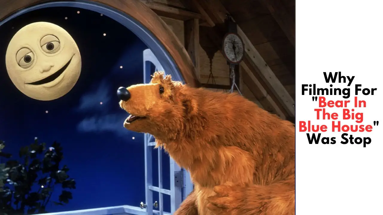 Bear in a big blue house