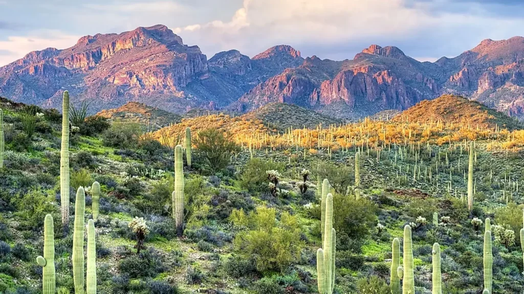 Young Guns Filming Locations, Sonoran Desert, Arizona, USA