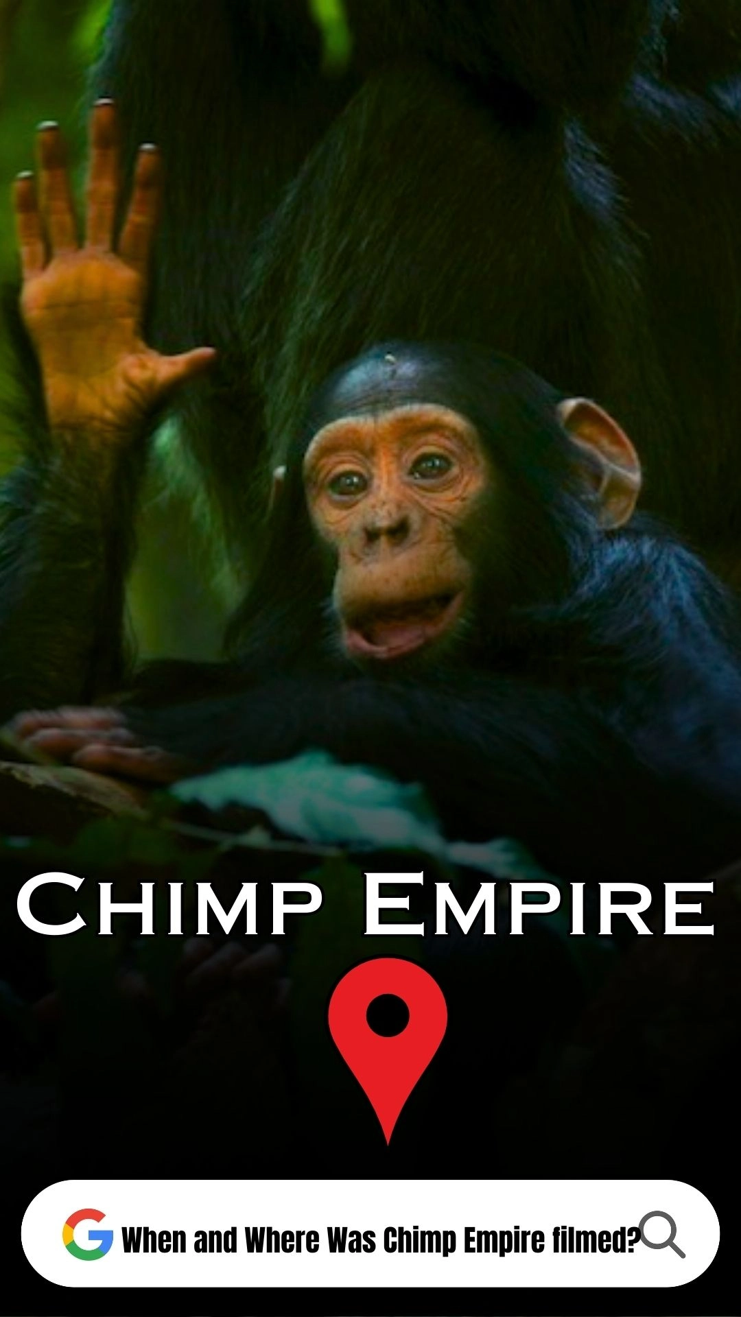 Chimp Empire Filming Locations