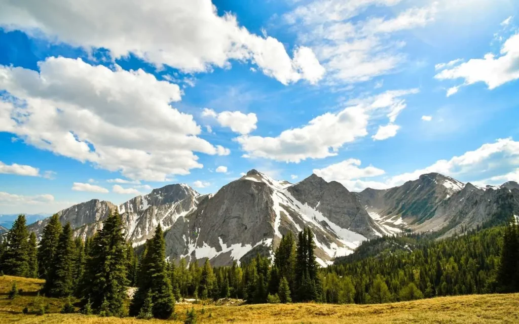 Cold Pursuit Filming Locations, British Columbia, Canada