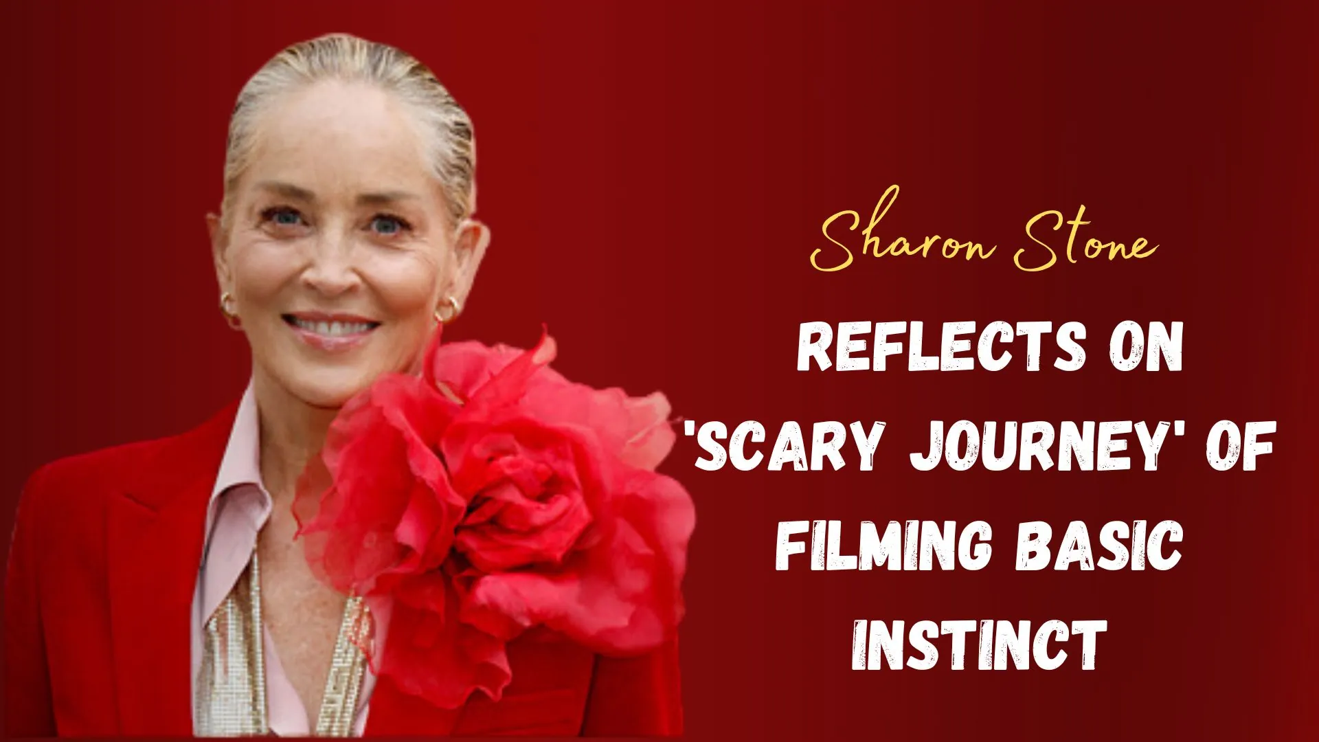 Sharon Stone Reflects on 'Scary Journey' of Filming Basic Instinct