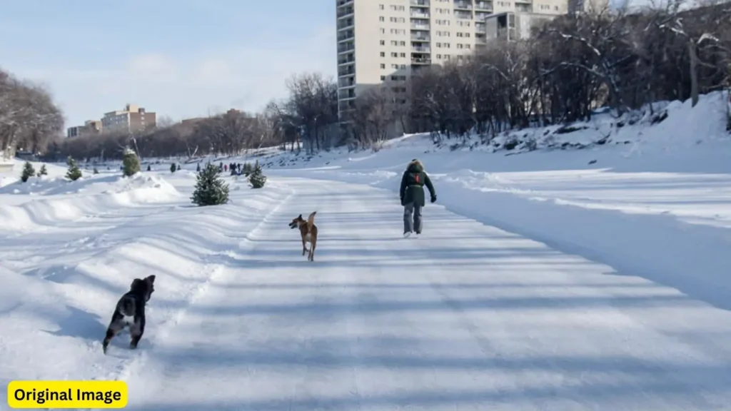 Snowmance Filming Locations, Winnipeg, Manitoba, Canada