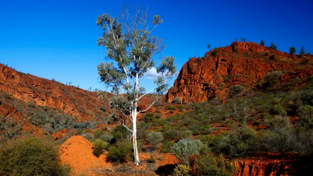 The Tourist Filming Locations, South Australia, Australia