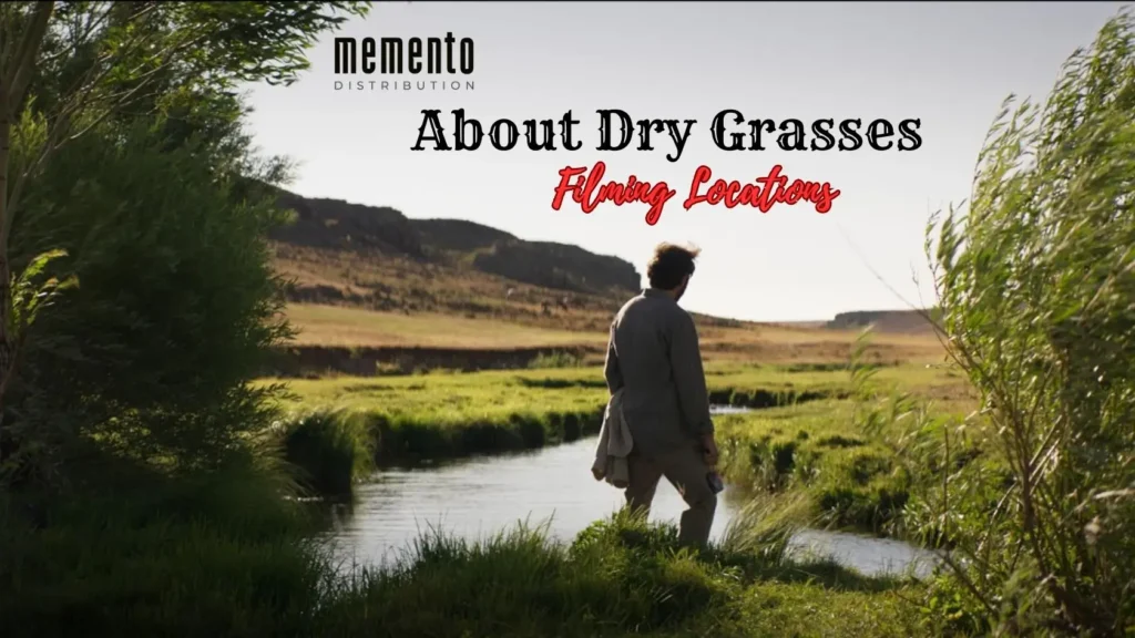 Where Was Memento Distribution's Film About Dry Grasses Filmed