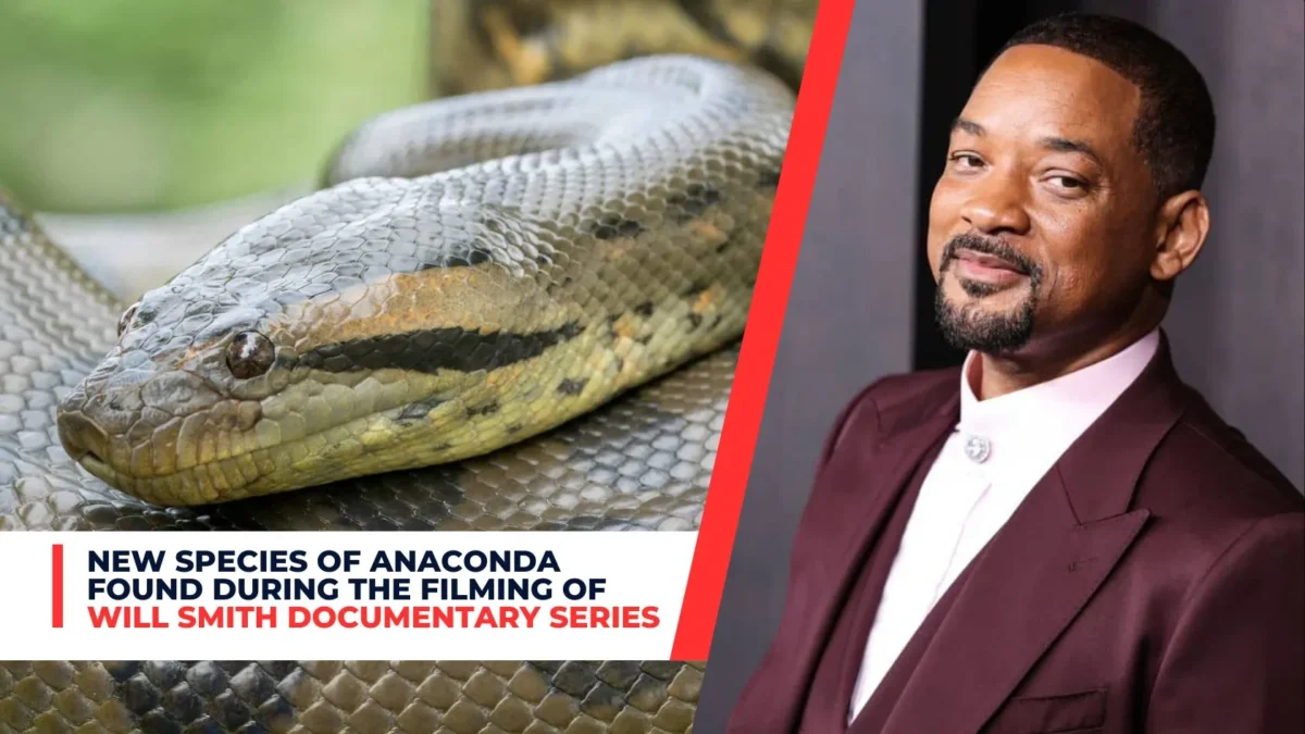New Anaconda Species Found Filming Will Smith DocuSeries