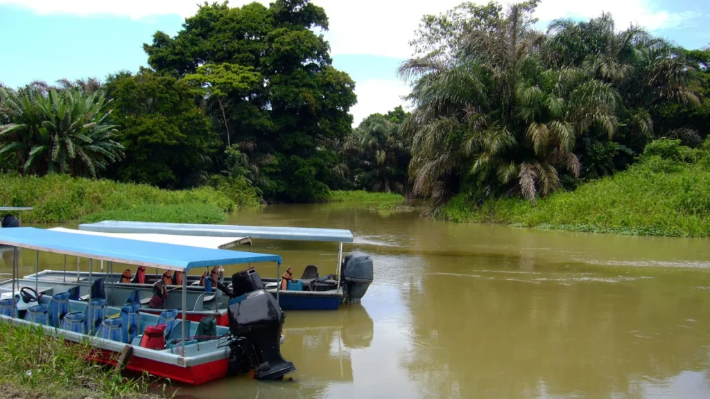 Best Places to Visit In Costa Rica-Tortuguero National Park