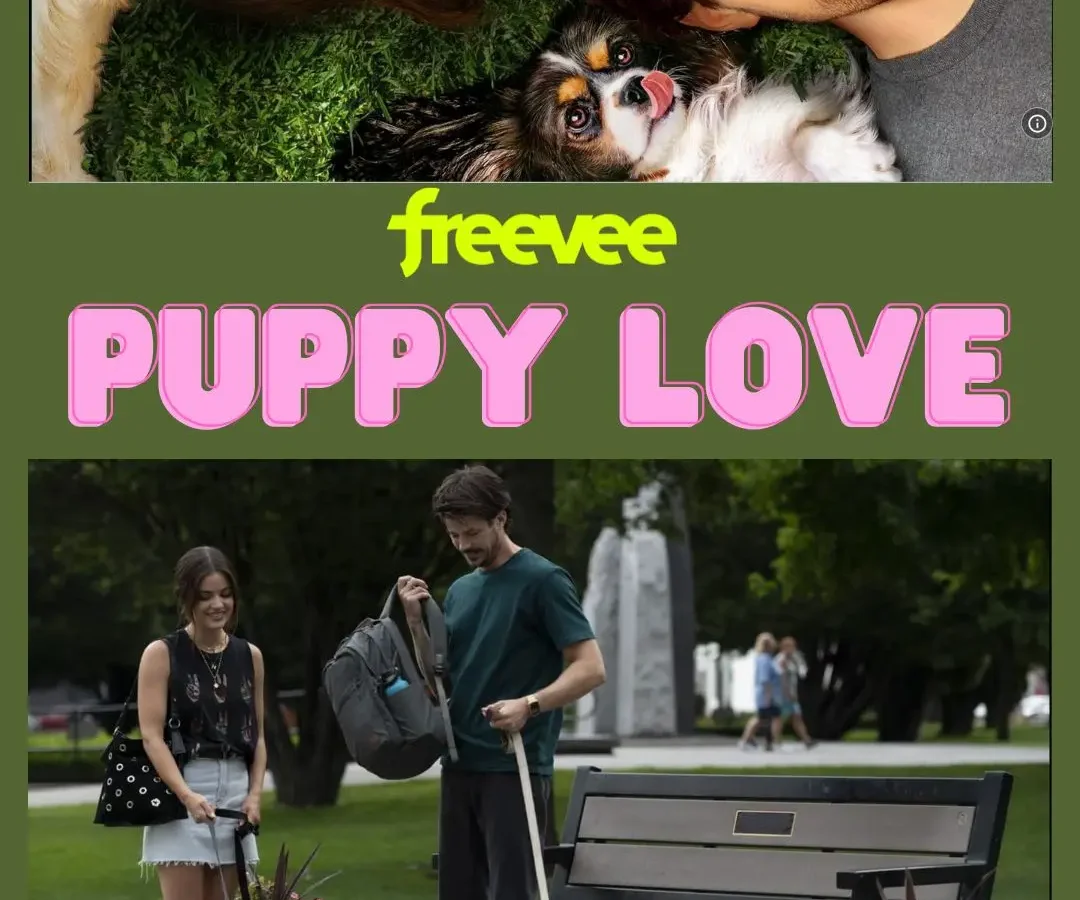 Puppy Love Filming Locations