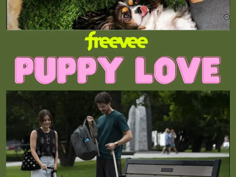 Puppy Love Filming Locations