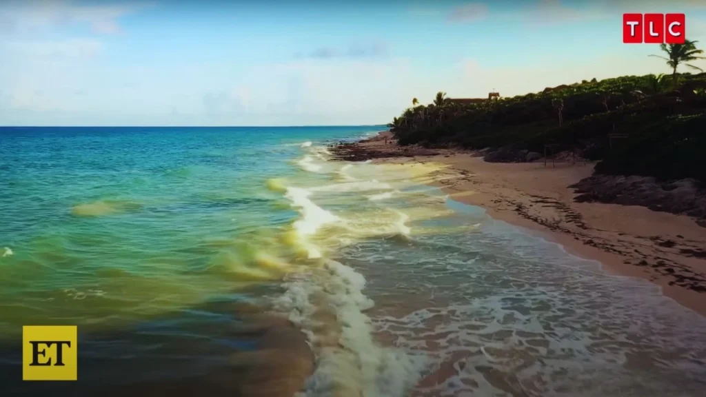 TLC's 90 Day: Hunt for Love Filming Locations (2025-) 5 TLC's 90 Day_ Hunt for Love Filming in Tulum, Mexico