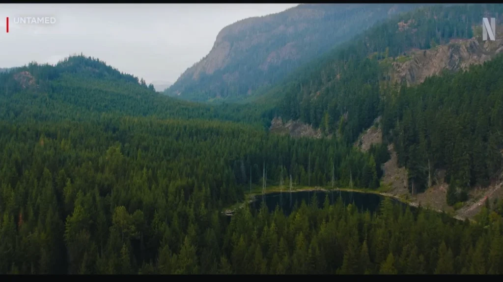 Netflix's Untamed Filming Locations (2025-) 2 Netflix's Untamed Filming in Maple Ridge, British Columbia, Canada
