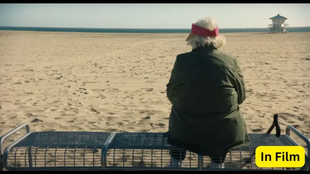 Coney Island Beach, Brooklyn, New York Featured in Eleanor the Great