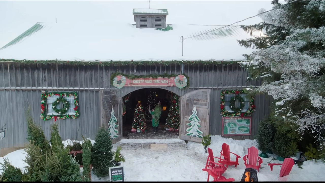 A Merry Little Ex-Mas Filming Locations (2025) 7 A Christmas Tree Farm Exterior in Toronto, Ontario, Canada Featured in A Merry Little Ex-Mas