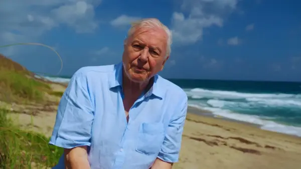 Sir David Attenborough Once Accidentally Shot and Killed a Reptile During Filming — And Never Picked Up a Gun Again