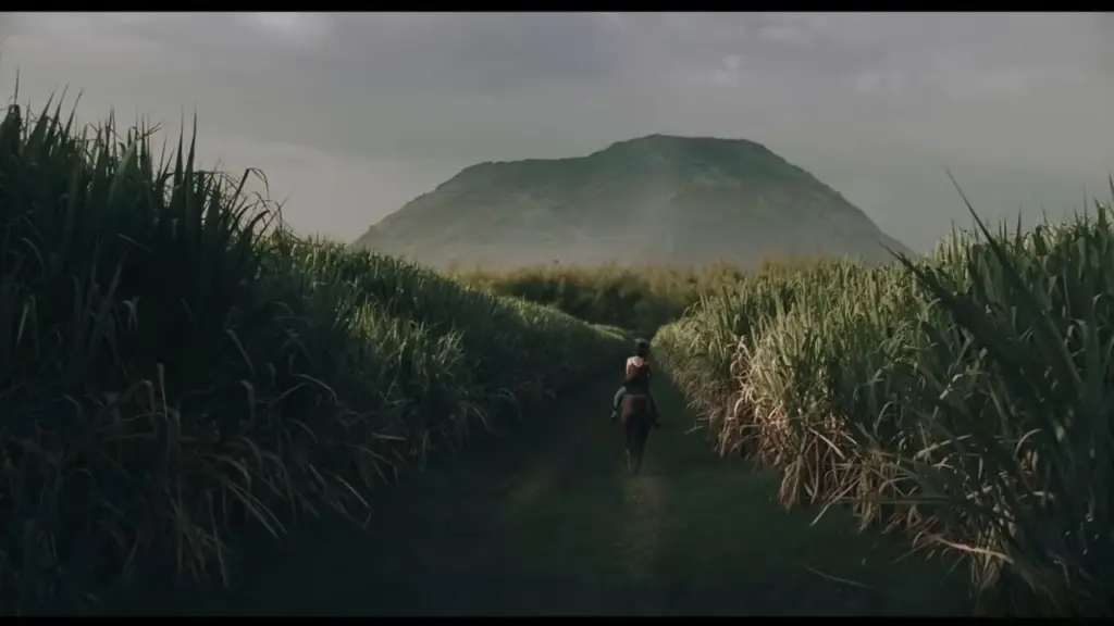 The Whistler Filming Locations (2026) 4 Valle del Cauca Region Featured in The Whistler