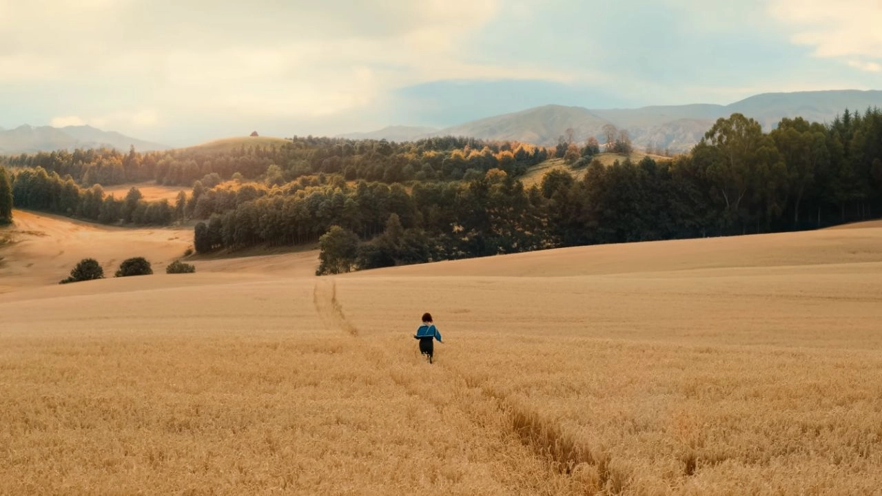 Klara and the Sun Filming Locations (2026) 6 South Region of New Zealand Featured in Klara and the Sun